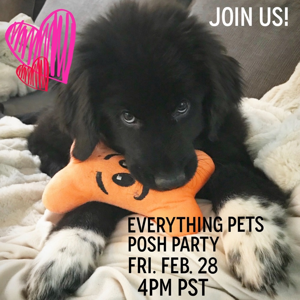 That’s a Wrap! Everything Pets Posh Party - Thank you!  2/28 @ 4PM PST